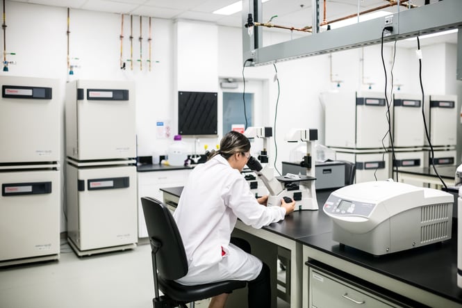 What is a GMP-Compliant Facility?