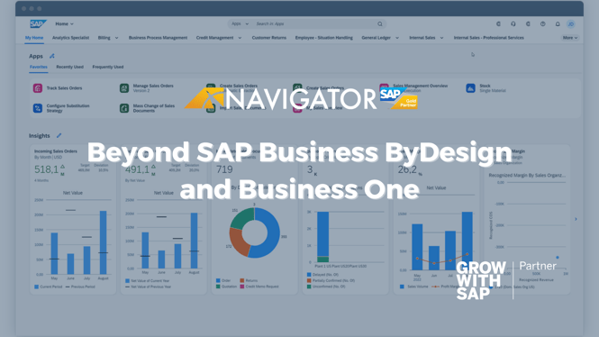 Beyond SAP Business ByDesign and SAP Business One - Webinar