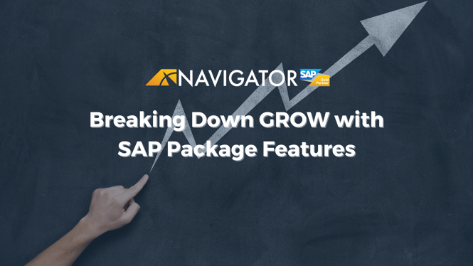 Breaking Down GROW with SAP Package Features