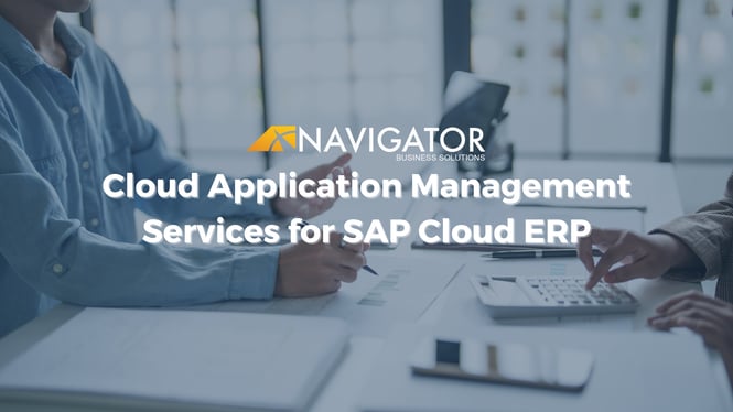 Cloud Application Management Services for SAP Cloud ERP