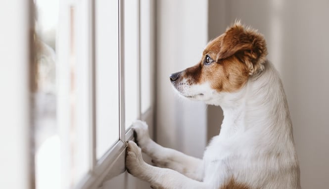 4 Commonly Overlooked Aspects of ERP Implementation