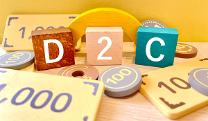 Get the Most Out of Your Direct-to-Consumer Model with ERP