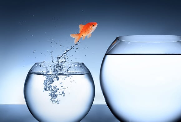Three Questions to Answer for ERP Project Success