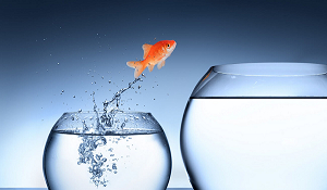 How Life Sciences Businesses Should Prepare Financials for Scaling and Outside Funding