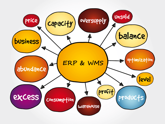 How WMS Extends ERP Throughout the Warehouse