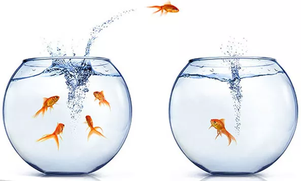 ERP Implementation Lesson learned