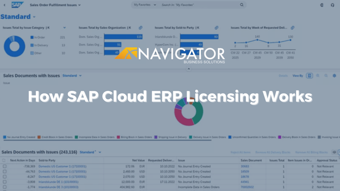How SAP Cloud ERP Licensing Works (Updated for 2025)
