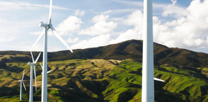 Energy Service Companies: Finally, the way to see the whole picture