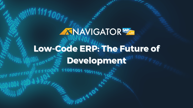 Low-Code ERP: The Future of Development
