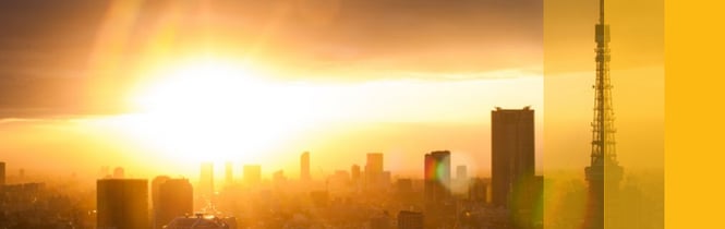 An ERP Solution to Support the Requirements of Public Sector Organizations