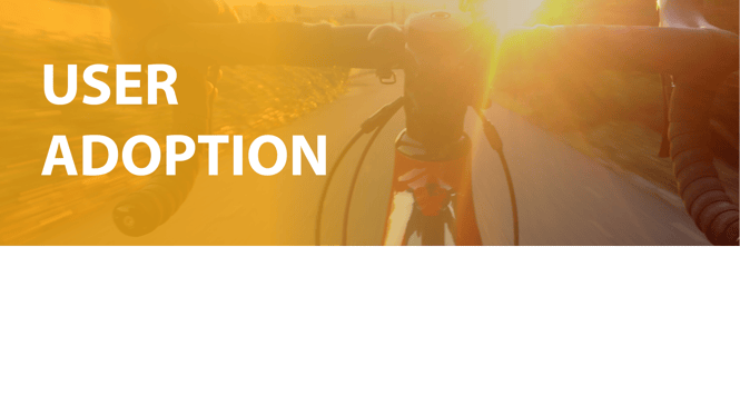 User Adoption
