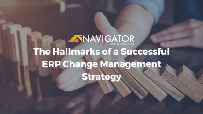 The Hallmarks of a Successful ERP Change Management Strategy
