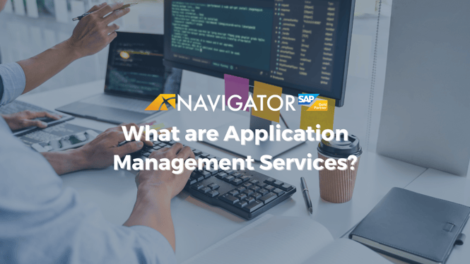 What are Application Management Services?
