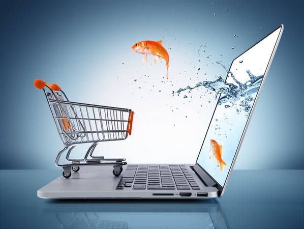 Plug in and Relax: Ecommerce with SAP Business One