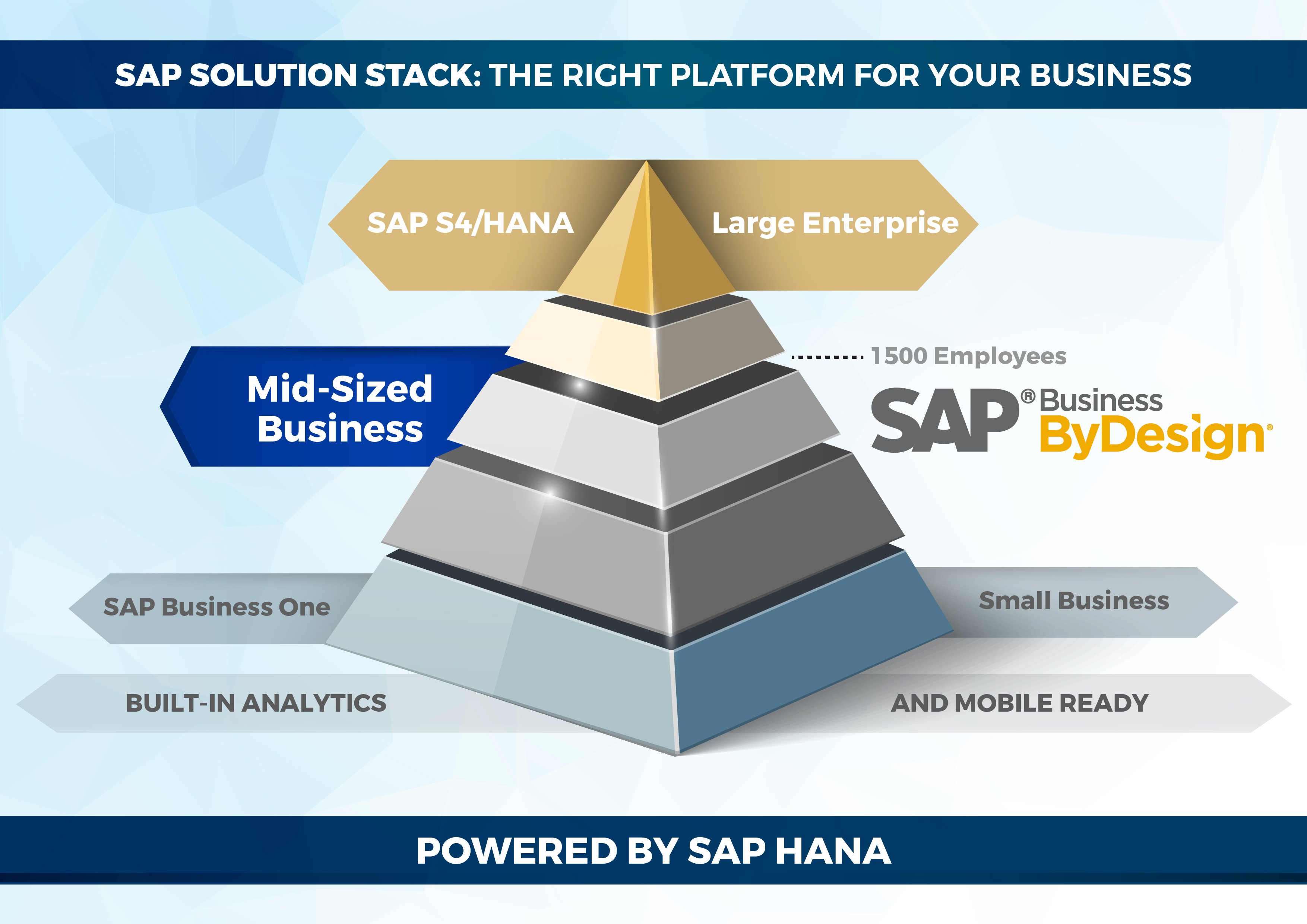 SAP for Small Business: SAP Business One Software